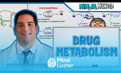 Pharmacokinetics Drug Metabolism