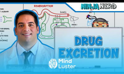 Pharmacokinetics Drug Excretion