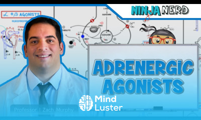 Autonomic Pharmacology Adrenergic Agonists