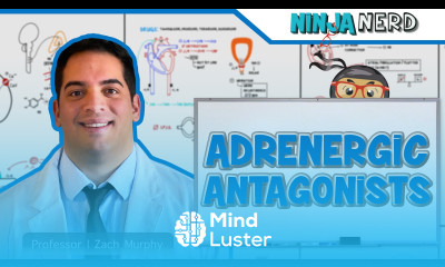 Autonomic Pharmacology Adrenergic Antagonists