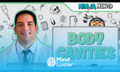 Body Cavities Serosal Membranes