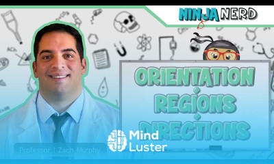 Anatomical Orientation Regional Directional Terminology