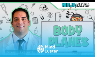 Body Planes Sections