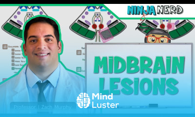 Midbrain Lesions Benedikt Weber Claude Parinaud Syndrome