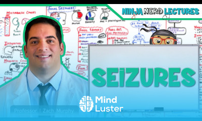 Seizures Etiology Pathophysiology Clinical Features Treatment Complications Status Epilepticus