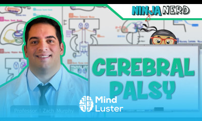 Cerebral Palsy Etiology Pathophysiology Complications Treatment