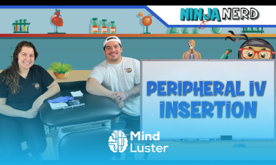 Peripheral IV Insertion Nursing