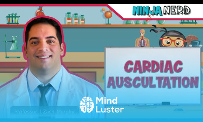 Cardiac Auscultation Eko DUO