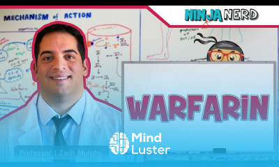 Warfarin Mechanism of Action Indications Adverse Reactions Contraindications