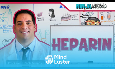 Heparin Mechanism of Action Indications ADR s Contraindications