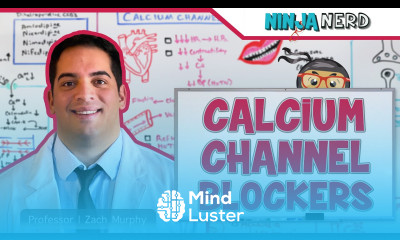 Calcium Channel Blockers Mechanism of Action Indications Adverse Reactions Contraindications