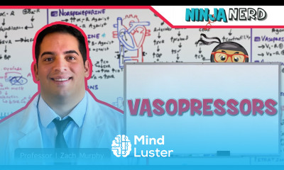 Vasopressors Inodilators Inopressors Pure Vasopressors Methylene Blue Midodrine