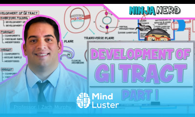 Gastrointestinal Development Embryology of the GI Tract Part 1