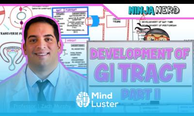 Gastrointestinal Development Embryology of the GI Tract Part 2