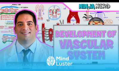 Embryology Development of Vascular System