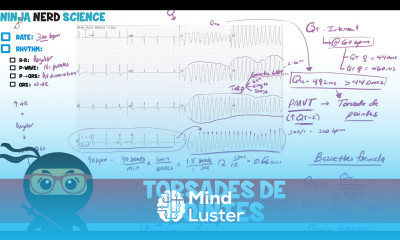 Rate and Rhythm Torsades de Pointes