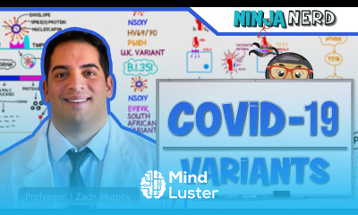 SARS CoV 2 Variants UK South African Brazil Variants