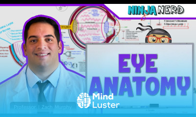 Special Senses Eye Anatomy