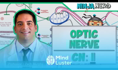 Neurology Optic Nerve Cranial Nerve II Visual Pathway and Lesions