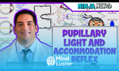 Special Senses Pupillary Light Accommodation Reflex