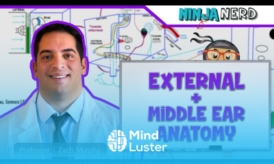 Special Senses External Middle Ear Anatomy