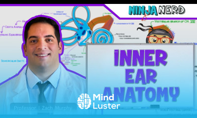 Special Senses Inner Ear Anatomy