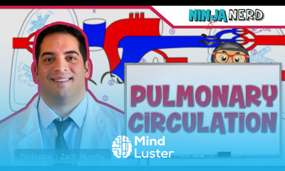 Circulatory System Pulmonary Circulation