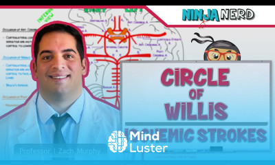 Circulatory System Circle of Willis Ischemic Strokes