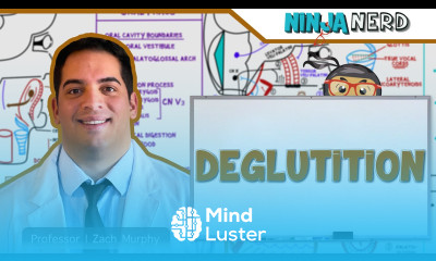 Gastrointestinal Deglutition Swallowing