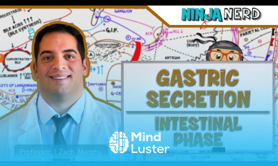 Gastrointestinal Gastric Secretion The Intestinal Phase