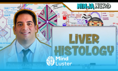 Gastrointestinal Liver Histology