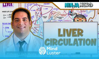 Gastrointestinal Liver Circulation Portal Hypertension