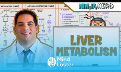 Gastrointestinal Liver Metabolism Protein Synthesis Storage