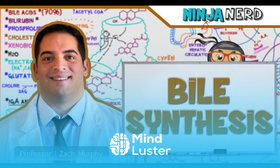 Gastrointestinal Bile Synthesis