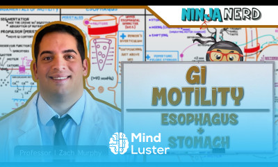 Gastrointestinal GI Motility of the Esophagus Stomach