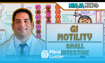 Gastrointestinal GI Motility of the Small Intestine