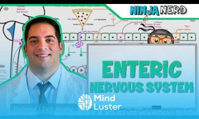 Neurology Enteric Nervous System