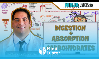 Gastrointestinal Digestion Absorption of Carbohydrates