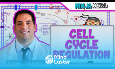 Cell Biology Cell Cycle Regulation