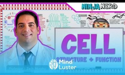 Cell Biology Cell Structure Function