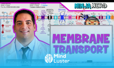 Cell Biology Passive Active Transport Endocytosis Exocytosis