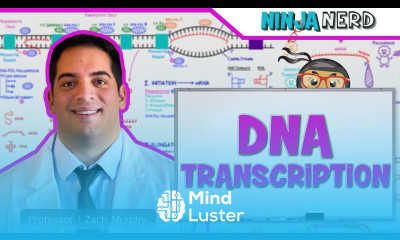 Cell Biology DNA Transcription 