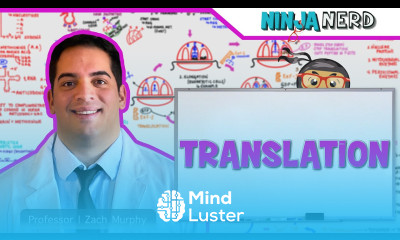 Cell Biology Translation Protein Synthesis 