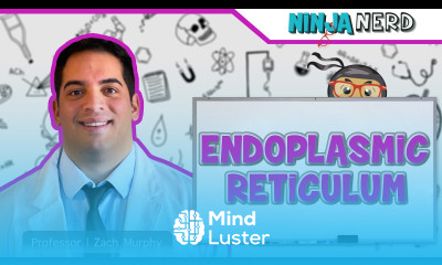 Endoplasmic Reticulum Structure Function