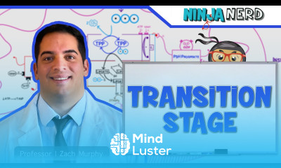 Metabolism Transition Stage Preparatory Phase