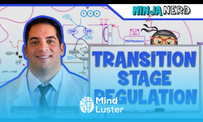 Metabolism Regulation of the Transition Stage