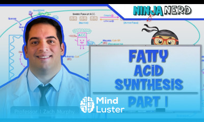 Metabolism Fatty Acid Synthesis Part 1