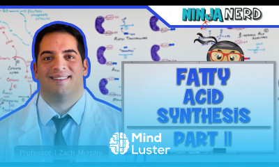 Metabolism Fatty Acid Synthesis Part 2 Updated