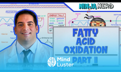 Metabolism Fatty Acid Oxidation Part 2
