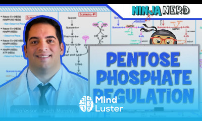 Metabolism Regulation of Pentose Phosphate Pathway